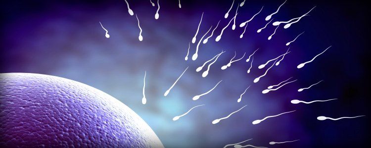 37 tipů pro zdravé spermie. Aneb mužská neplodnost nemá šanci!
